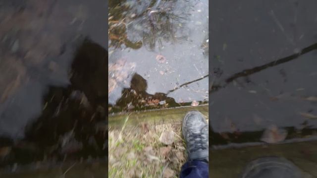 Играем в рыбалку