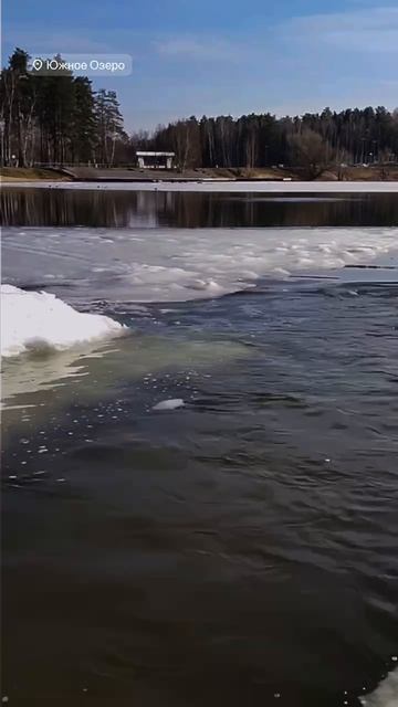 Заплыв в проруби