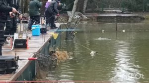 Дождь не помеха