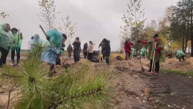 Республиканский субботник: дело стоит труда // Белоруснефть