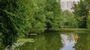 Россия 2021. Москва. Возвращение домой. Воронцовский парк.