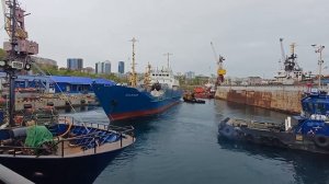 ПЕРЕГРУЗЧИК"БУЗАНСКИЙ" ВЫХОДИТ С ПОРТА ВЛАДИВОСТОКА #перегрущик #корабли #море #портвладивостока