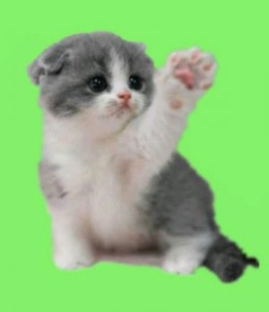 с лпшкой ❤❤