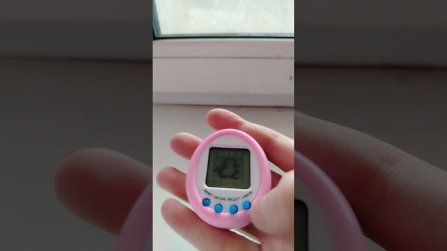 как запускать тамагочи