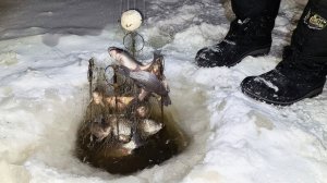 Поймал Целую Кучу Карася на Хапугу. Лучшая Зимняя Рыбалка 2026 Смотреть на RUTUBE Онлайн Рыбалка