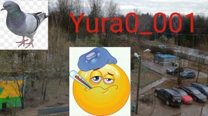 Заболел-природа вылечит! Моя среда...🙄🤧🤓❤️Yura0_001🤝