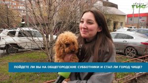 Самарцы рассказали, готовы ли они выйти на субботники 18 и 25 апреля