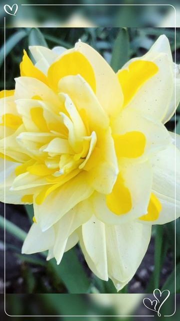 Новый фильм 