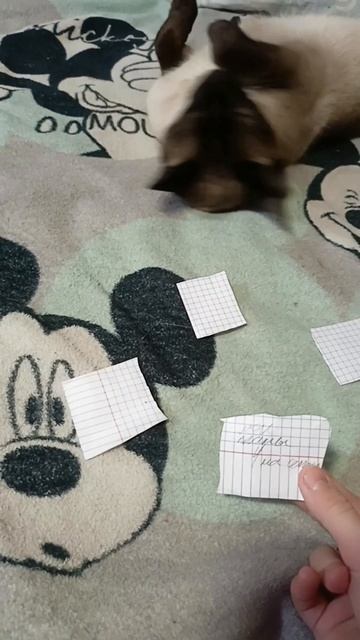 великое приключение чупа-чупса