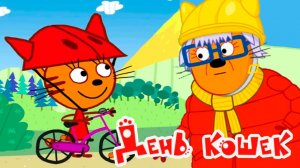 Три кота Мультик | Мультфильм три кота смотреть | Сборник серий три кота.