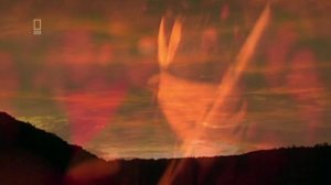 Запреты 1 сезон 2 серия (документальный сериал, 2002)