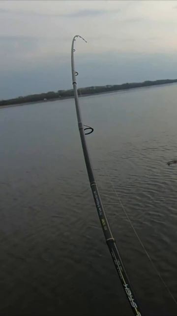 ВОТ ЭТО УДАР СУДАКА НА СПИННИНГ😲🔥🦈 ЛОВЛЯ СУДАКА РАННЕЙ ВЕСНОЙ НА ВОЛГЕ/РЫБАЛКА В САМАРЕ/ВЕСНА2026