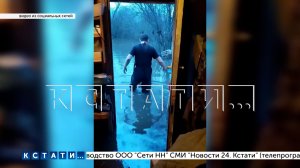 Река Теша затопила дома жителей посёлка Выездное