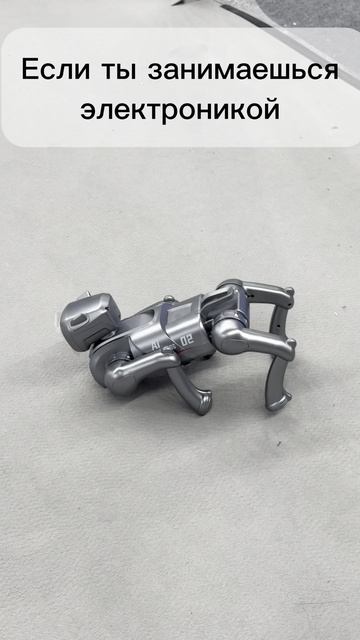 Что такое Шэньчжэнь для бизнеса | Airobix logistics