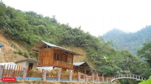 Сбор фиолетового сладкого картофеля на продажу - Как приготовить пироги из сладкого картофеля