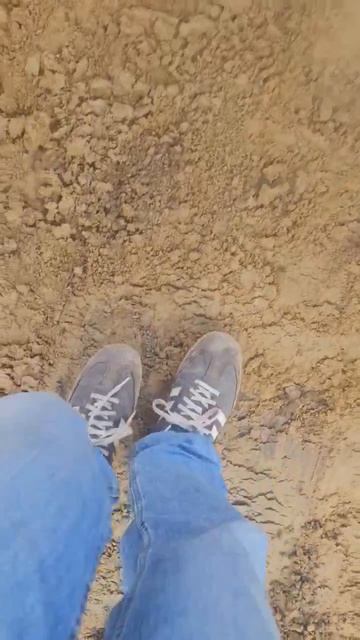 Осушаем пятно застройки #стройкаканисты