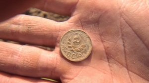 выгулял дусю в поиске золота