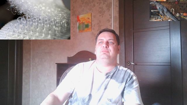 1-н день в истории. 13 мая