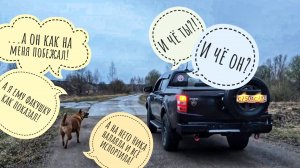 Пёс Кубик и лось Степан встретили Артёма из Питера. Мне дерево на опыты прислали!