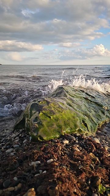 Черное море катит волны к берегу, они разбиваются о камень, рассыпаясь брызгами в воздухе