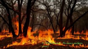 П...Й(Анна Ахматова — Не с теми я, кто бросил землю)