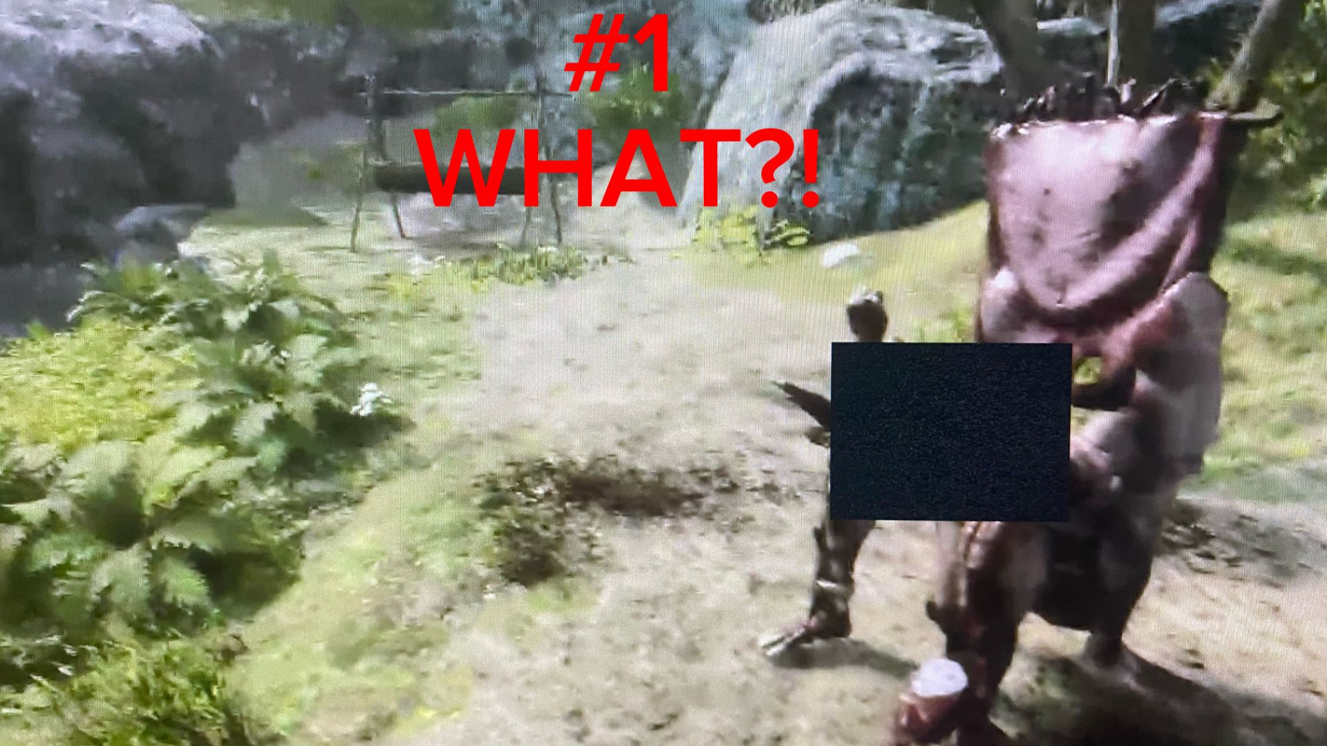 Sons Of The Forest. #1.