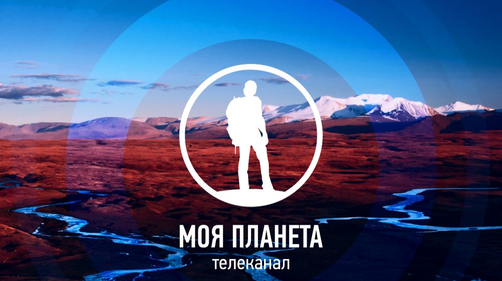 Airline Simulator - 5 Levels.