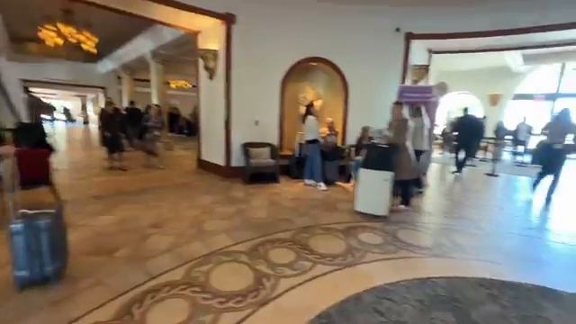 Наталья Фальконе. Приехали в Калифорнию