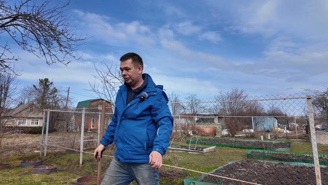 Пересадил смородину, ветку которую воткнул в землю. Но…