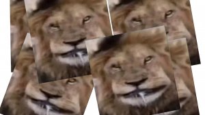 СЛИЛ ЗВЁЗДЫ БЛОКМАН ГО БЕД ВАРС Blockman Go BedWars