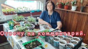 ОТВЕТ НА КОММЕНТАРИЙ)) РАЗГОВОРИЛАСЬ СЕГОДНЯ))