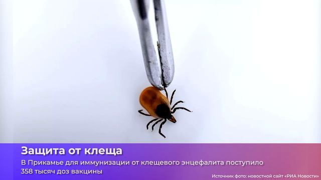 Коротко о главном_03.04.2026_СольТВ