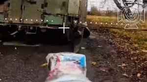 💥Очередной редкий зверь поражён в Сумской области