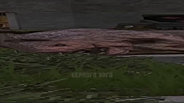 Вот так выглядит разговор Стеллы с Русланом смотреть онлайн