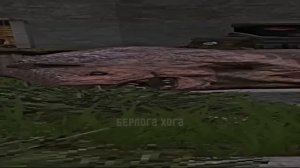 Вот так выглядит разговор Стеллы с Русланом