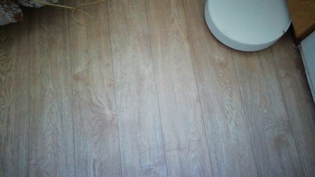 робот пылесос