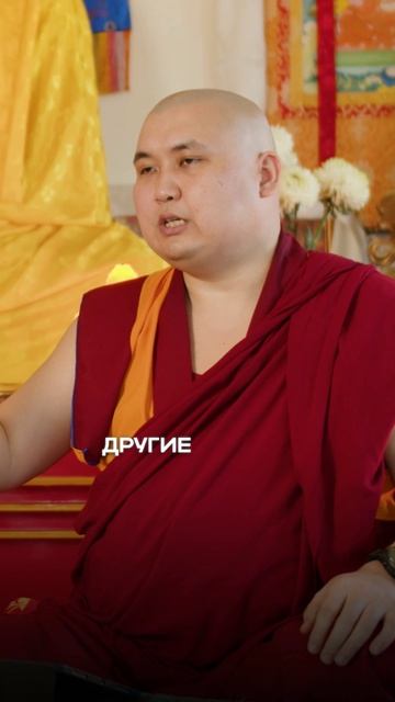 Почему стоит заботиться о всех живых существах?