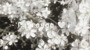 🤍 ⋆ °ρᥲⳅ𐔏𐔖ⲃ𐔖ρ°⋆୨୧