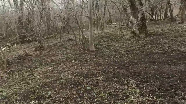 12 февраля 2024г.Мой дом.Весь день работала на улице.