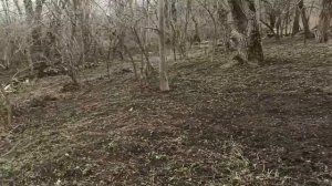 12 февраля 2024г.Мой дом.Весь день работала на улице.