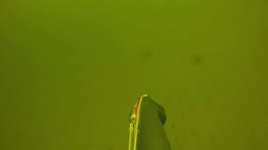 Зимняя подводная охота на сома.