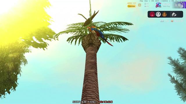 Arizona 2026-04-15 18-10-21