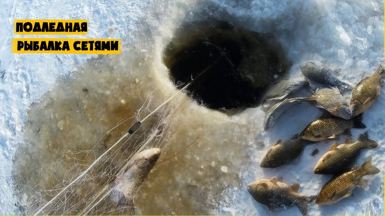 Рыбная Застава. Очень Много Карася Ловлю Сетями Русская Зимняя рыбалка 2026 Лучшая Рыбалка на RUTUBE