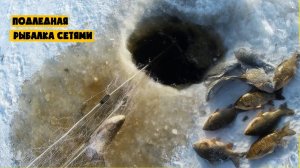 Рыбная Застава. Очень Много Карася Ловлю Сетями Русская Зимняя рыбалка 2026 Лучшая Рыбалка на RUTUBE