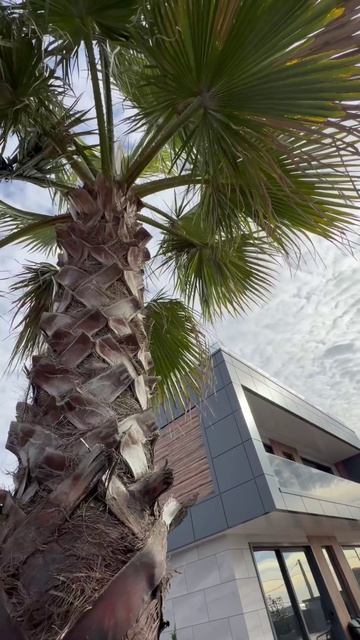 ВИЛЛА АТМОС ТЕПЕРЬ 99 МЛН.₽ - ДОМ 194 М² С ВИДОМ НА ОЛИМПИЙСКИЙ ПАРК || НЕДВИЖИМОСТЬ СОЧИ И СИРИУСА