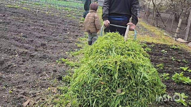 влог....юра экономит бюджет ///заказ на кашпо готов