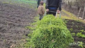 влог....юра экономит бюджет ///заказ на кашпо готов