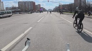 Аллейкэт. Королёв часть 2