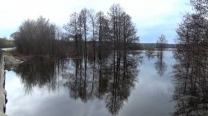 Весенний разлив на реке Тара около поселка Мстера. Апрель 2026 года