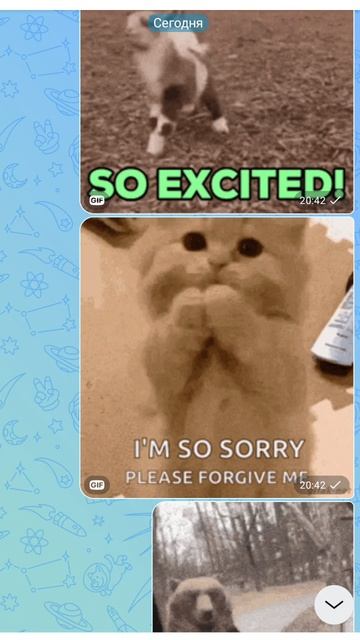 🥺🥺🥺🥺🥺🥺🥺🥺🥺🥺